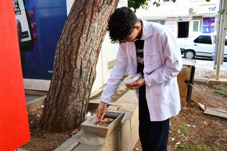 Meslek Liseliler Yemek Artıklarını Kedi Ve Köpek Mamasına Dönüştürüyor