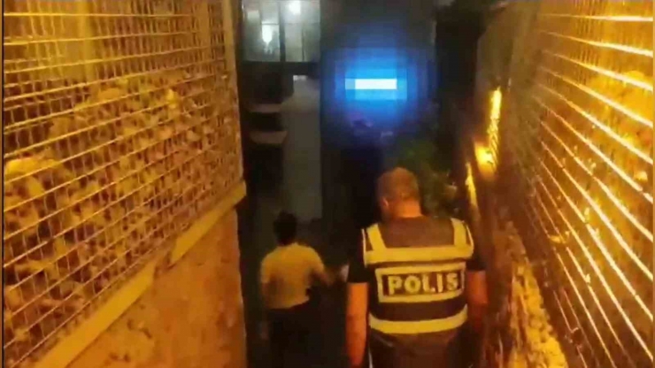 Şanlıurfa Polisinden Şok Uygulama