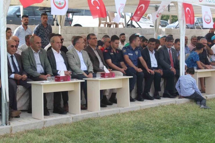 Oğuzeli’nde Festival Coşkusu Aşırtmalı Aba Güreşi Türkiye Şampiyonası İle Sona Erdi