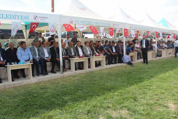 Oğuzeli’nde Festival Coşkusu Aşırtmalı Aba Güreşi Türkiye Şampiyonası İle Sona Erdi