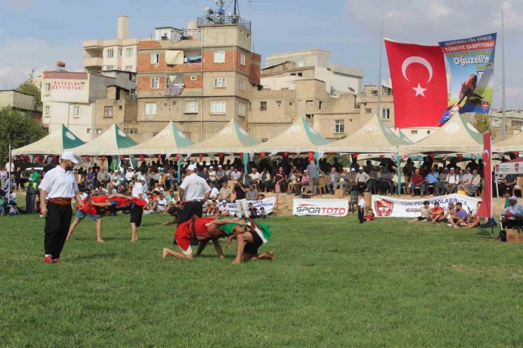 Oğuzeli’nde Festival Coşkusu Aşırtmalı Aba Güreşi Türkiye Şampiyonası İle Sona Erdi