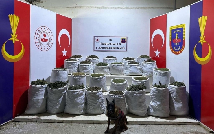 Diyarbakır’da Uyuşturucu Operasyonu: 603 Kilo Esrar, 640 Bin Esrar Bitkisi Ele Geçirildi