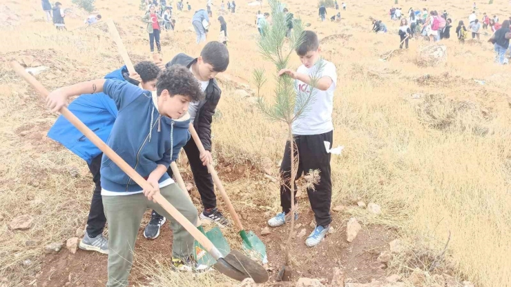 Cumhuriyet’in 100. Yılında Öğrenciler Fidan Dikti