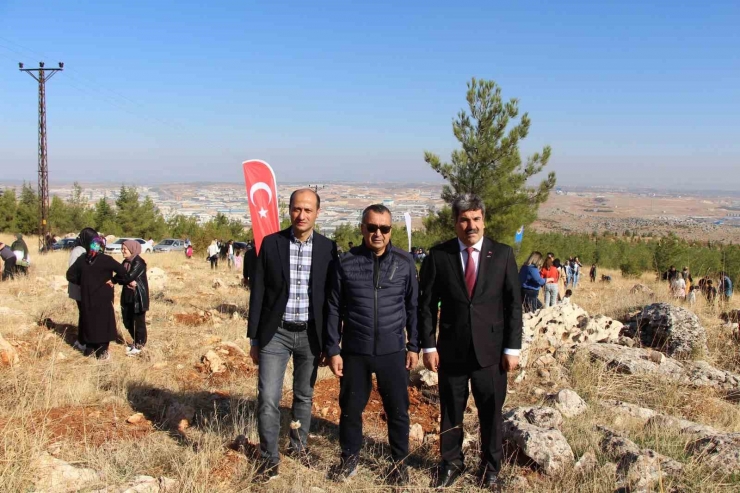 Gaib’den Cumhuriyetin 100. Yılında 100 Fidan