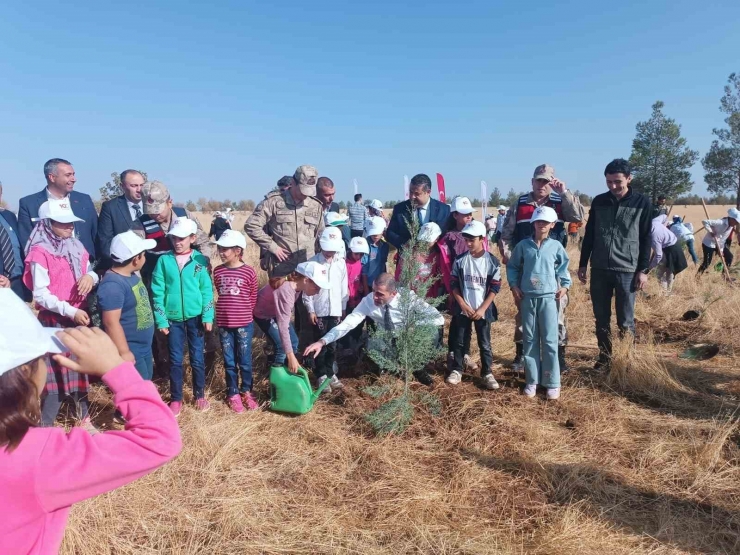 Siverek’te Cumhuriyetin 100. Yılı Anısına Ağaç Dikildi