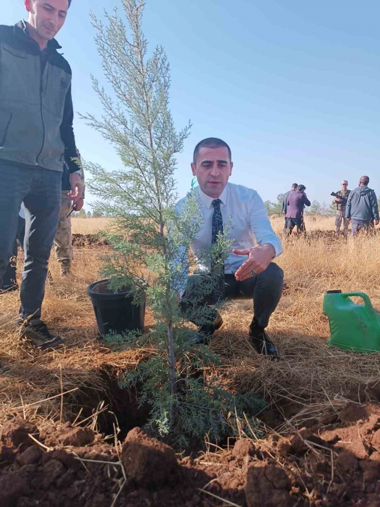 Siverek’te Cumhuriyetin 100. Yılı Anısına Ağaç Dikildi