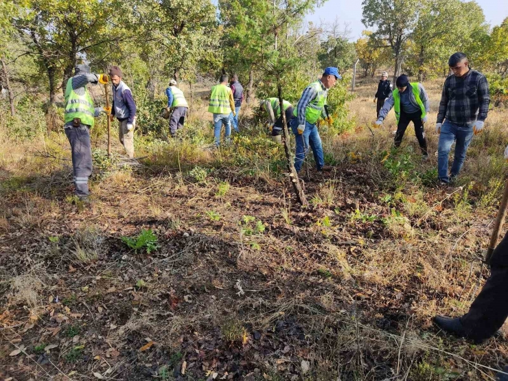 Doğanşehir Belediyesi 39 Mahallede Mezarlık Temizliği Yapıyor