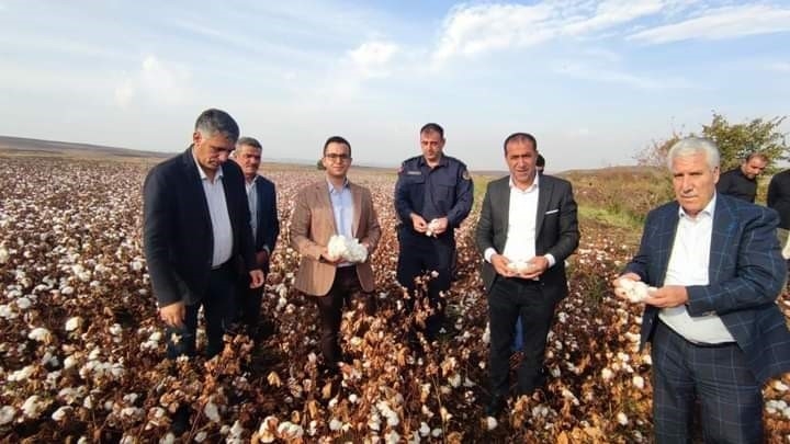 Çermik Kaymakamı Yılmaz, Pamuk Hasadına Katıldı