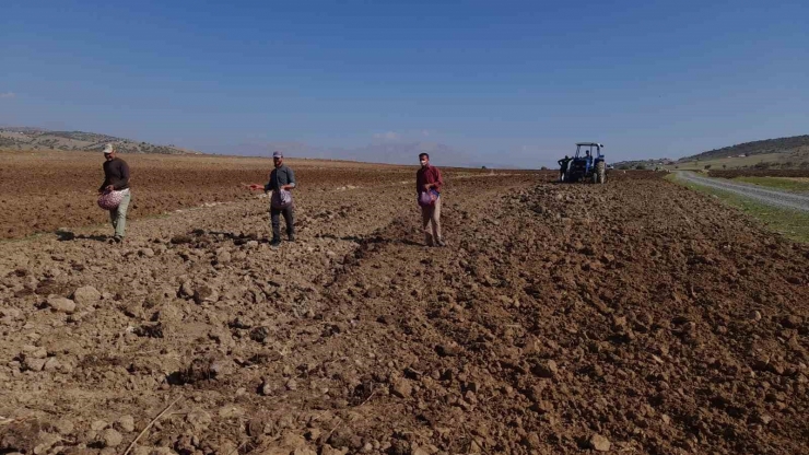 Kulp’ta Çiftçiler İmece Usulü Tohumu Toprakla Buluşturdu