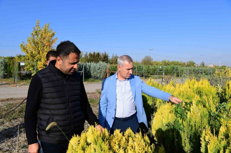 Yeşilyurt Beylerderesi Şehir Parkı Yeşillenecek