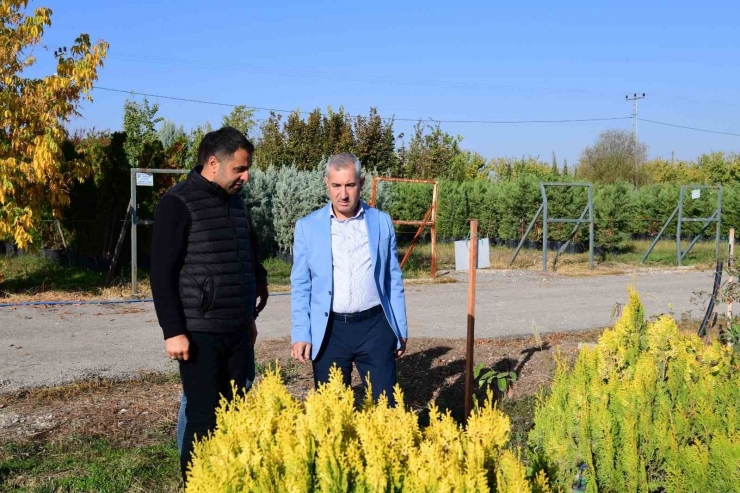 Yeşilyurt Beylerderesi Şehir Parkı Yeşillenecek