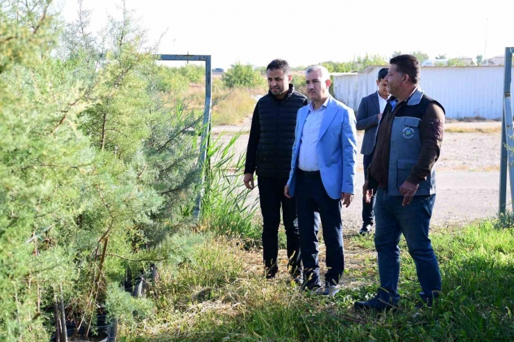 Yeşilyurt Beylerderesi Şehir Parkı Yeşillenecek