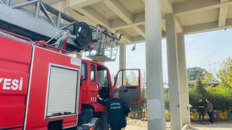 Köprüde Mahsur Kalan Kedi Battaniye Yardımıyla Kurtarıldı