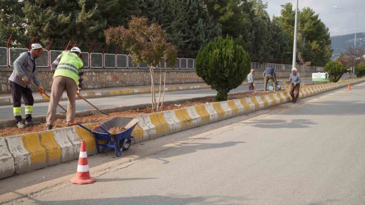 Daha Yeşil Bir Adıyaman İçin Belediyenin Çalışmaları Devam Ediyor