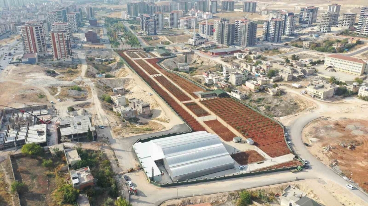 İş Adamları D.t. Şehitkamil Sahnesi Ve Agro Park’ı İnceledi