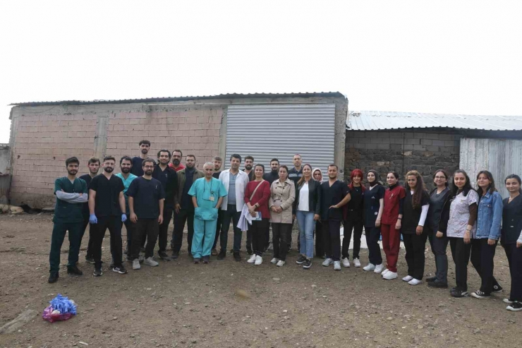 Diyarbakır’da Veteriner Hekim Adayları Saha Çalışmalarına Katıldı