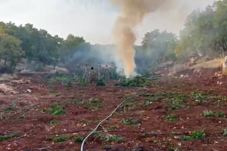 Diyarbakır’da 403 Kilo Esrar Ve 423 Bin Esrar Bitkisi Ele Geçirildi