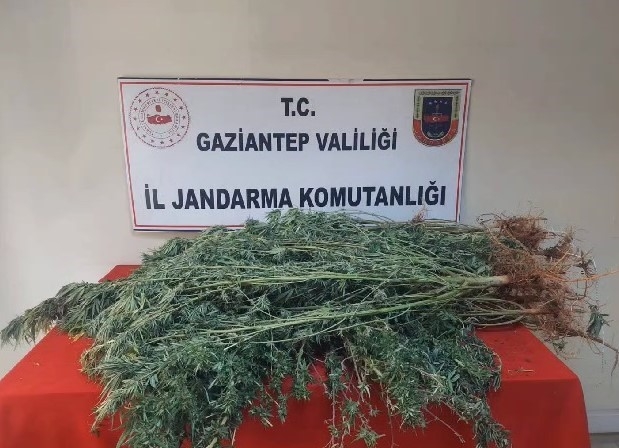 Gaziantep’te Kaçakçılık Ve Uyuşturucu Operasyonu: 157 Gözaltı