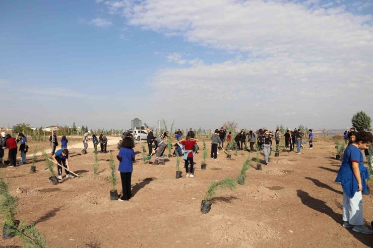 Diyarbakır’da Öğrenciler Fidan Dikti