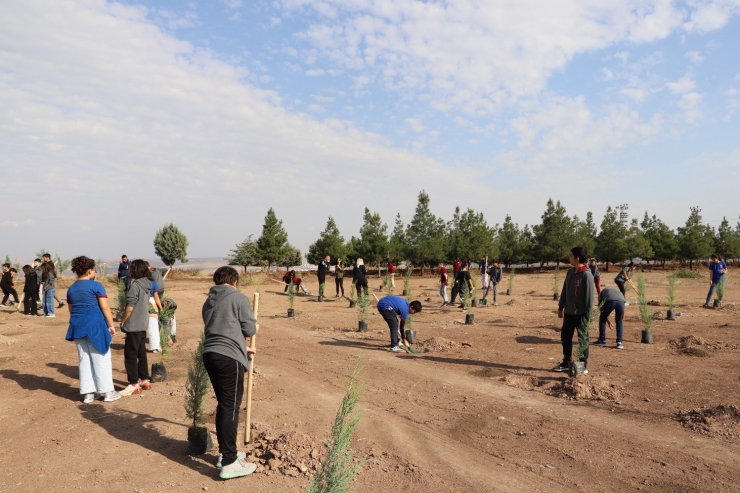 Diyarbakır’da Öğrenciler Fidan Dikti
