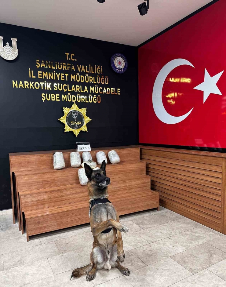 Şanlıurfa’da 9 Kilo Skunk Ele Geçirildi