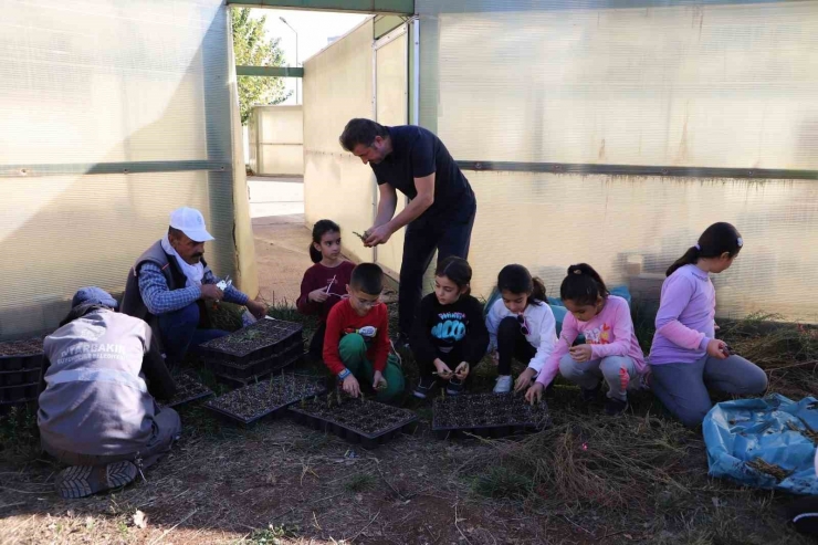 Diyarbakır’da Öğrenciler Çalı Ve Çiçek Üretiyor