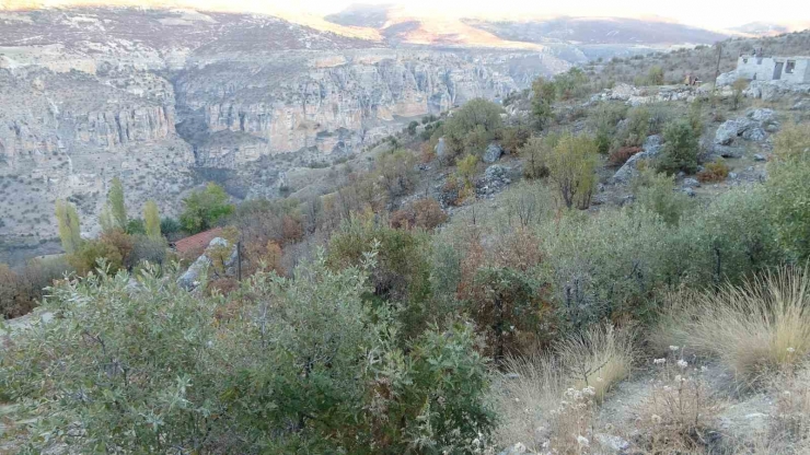 Levent Vadisi Sonbaharda Göz Kamaştırıyor