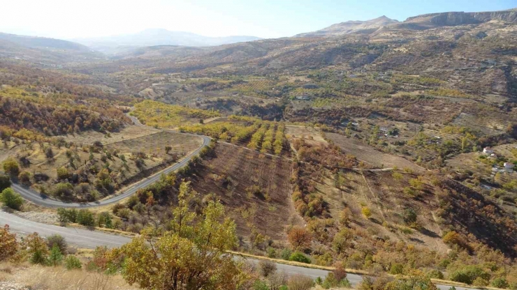 Levent Vadisi Sonbaharda Göz Kamaştırıyor