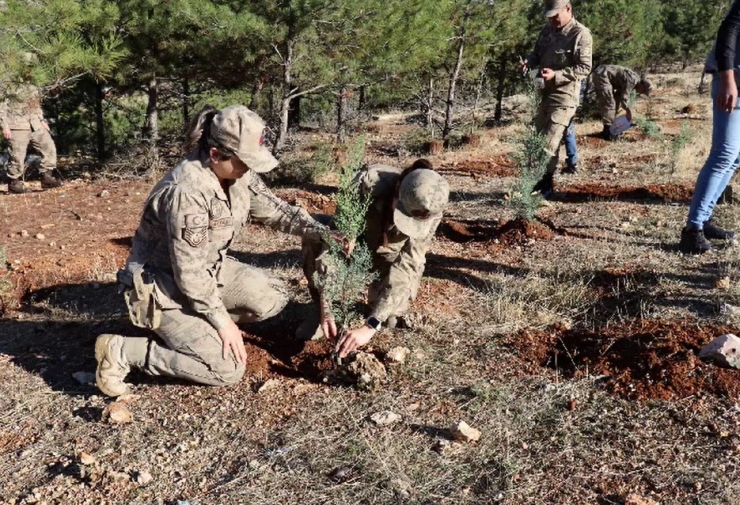 Jandarma 100. Yıla Özel 100 Fidan Dikti