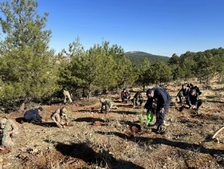 Jandarma 100. Yıla Özel 100 Fidan Dikti