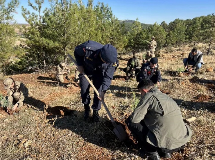 Jandarma 100. Yıla Özel 100 Fidan Dikti