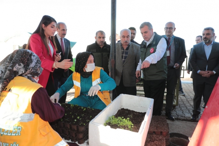 Toplum Temelli Sera Projesinin Açılışı Yapıldı