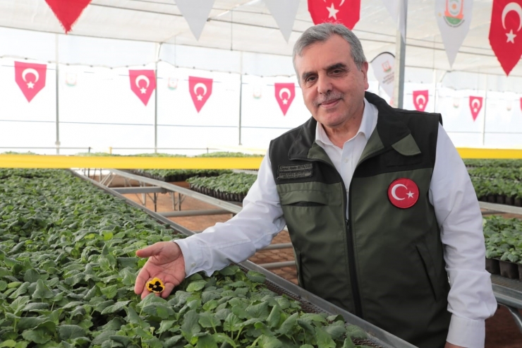 Toplum Temelli Sera Projesinin Açılışı Yapıldı