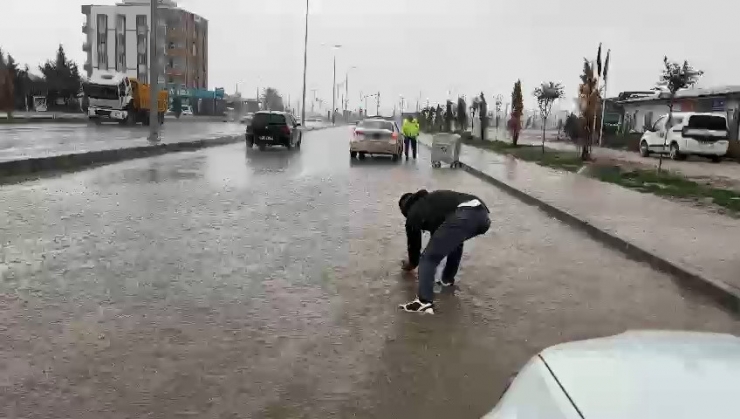 Sel Sularında Çırpınan Serçeyi Habere Giden Gazeteci Kurtardı