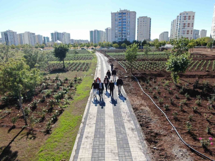 Diyarbakır’da Tıbbi Aromatik Bitki Bahçesi Şehre Güzel Koku Yayacak