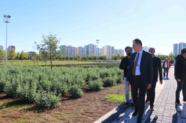 Diyarbakır’da Tıbbi Aromatik Bitki Bahçesi Şehre Güzel Koku Yayacak