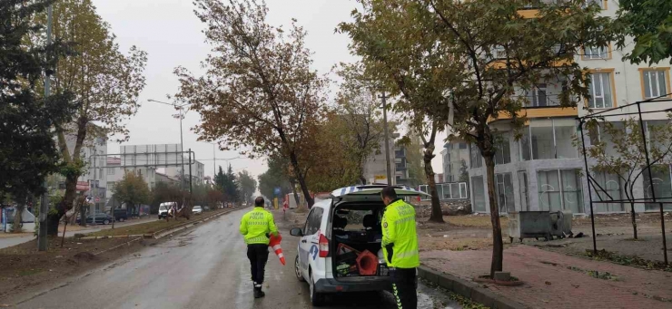 Rüzgar Nedeniyle Devrilmek Üzere Olan Ağaç Korkuttu