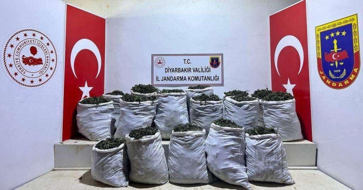 Diyarbakır’da 532 Kilo Esrar Maddesi Ele Geçirildi