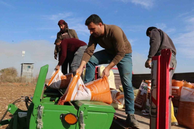 Şanlıurfa Büyükşehir Belediyesi Buğday Ekimine Başladı