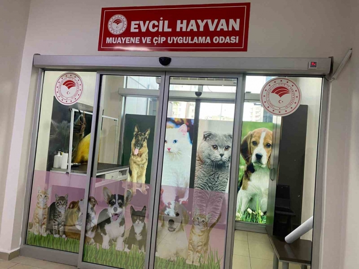 Diyarbakır’da Evcil Hayvanlar İçin Aşı Ve Çip Uygulama Odası Açıldı