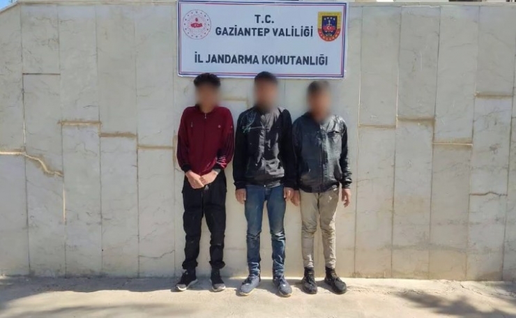 Gaziantep’te 45 Düzensiz Göçmen Yakalandı