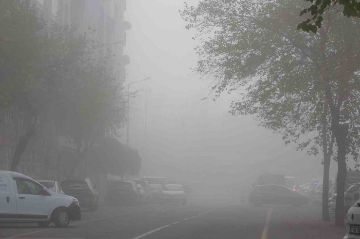 Diyarbakır Güne Yoğun Sis İle Uyandı