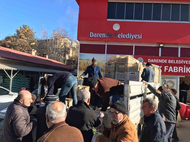 Malatyalı Depremzedelere Mandalina Dağıttı