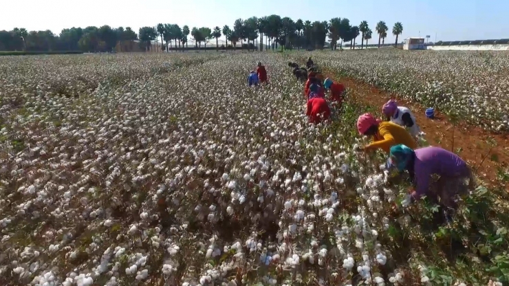 Tarım İşçisi Avukatlar, Mevsimlik Tarım İşçilerinin Sorunlarını Ele Aldı