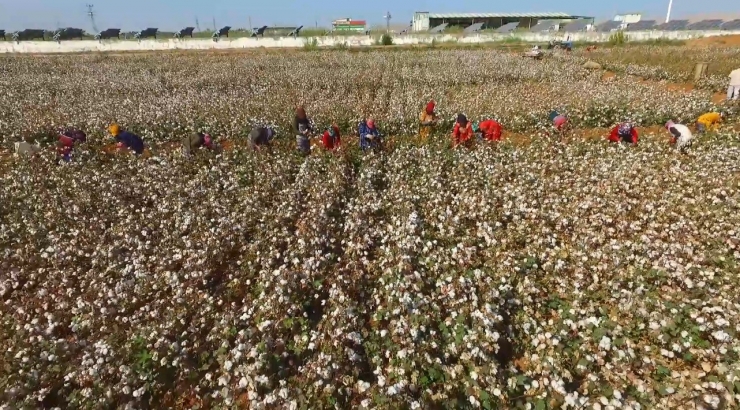 Tarım İşçisi Avukatlar, Mevsimlik Tarım İşçilerinin Sorunlarını Ele Aldı