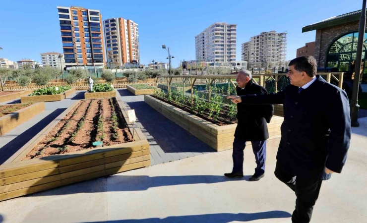 Fadıloğlu, Akay’a Projelerle İlgili Detaylı Bilgi Verdi