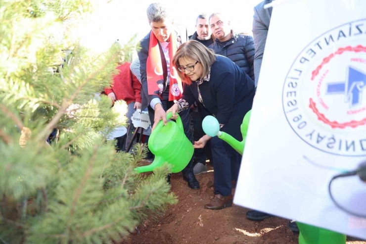 Büyükşehir, Taşlıca Malazgirt Mahallesi’nde Ağaç Dikimi Yaptı