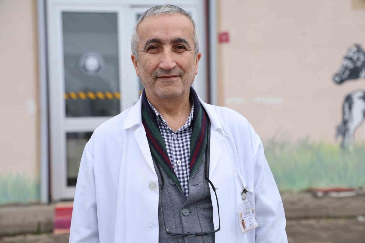 Sokak Köpekleri İçin Barınak Ve Çip Vurgusu