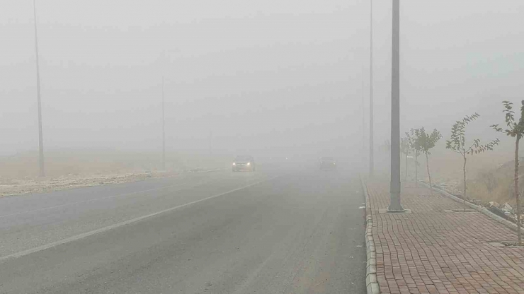 Şanlıurfa’da Yoğun Sis Etkili Oluyor