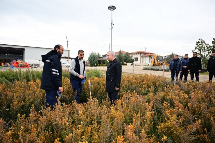 Yeşilyurt Belediyesi Fidanlık Alanı, Yeşilyurt’a Nefes Oluyor